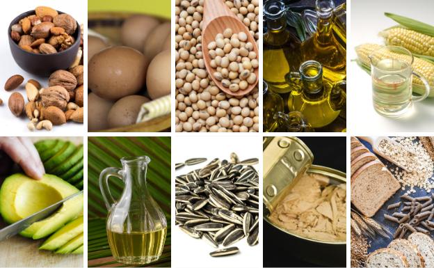 10 alimentos que contengan lipidos 10 alimentos que contengan lipidos